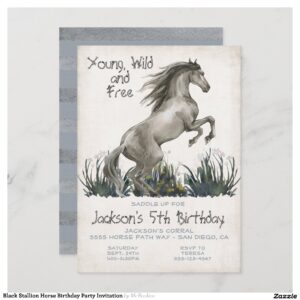 Black Stallion Horse Birthday Party Invitation