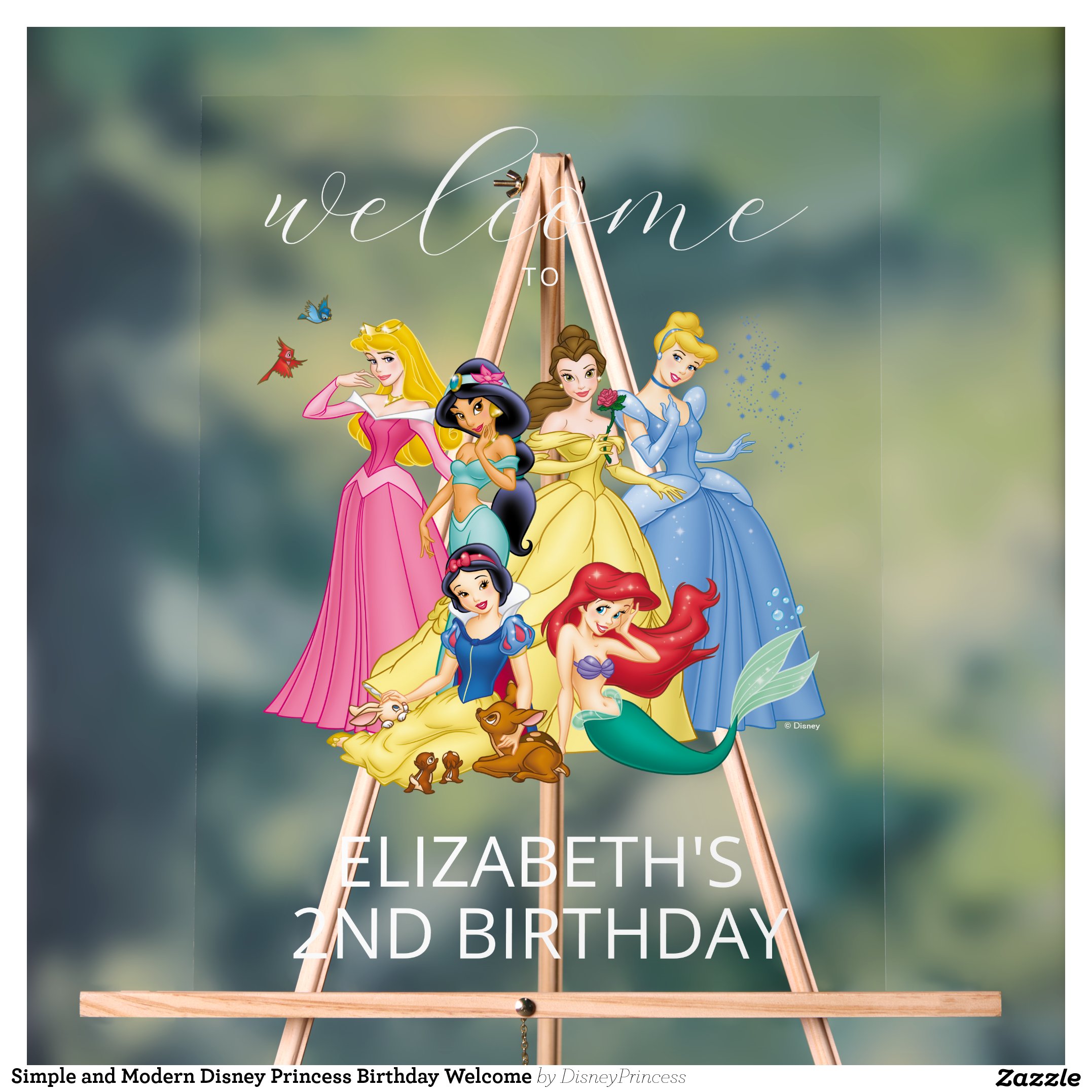Simple and Modern Disney Princess Birthday Welcome Acrylic Sign