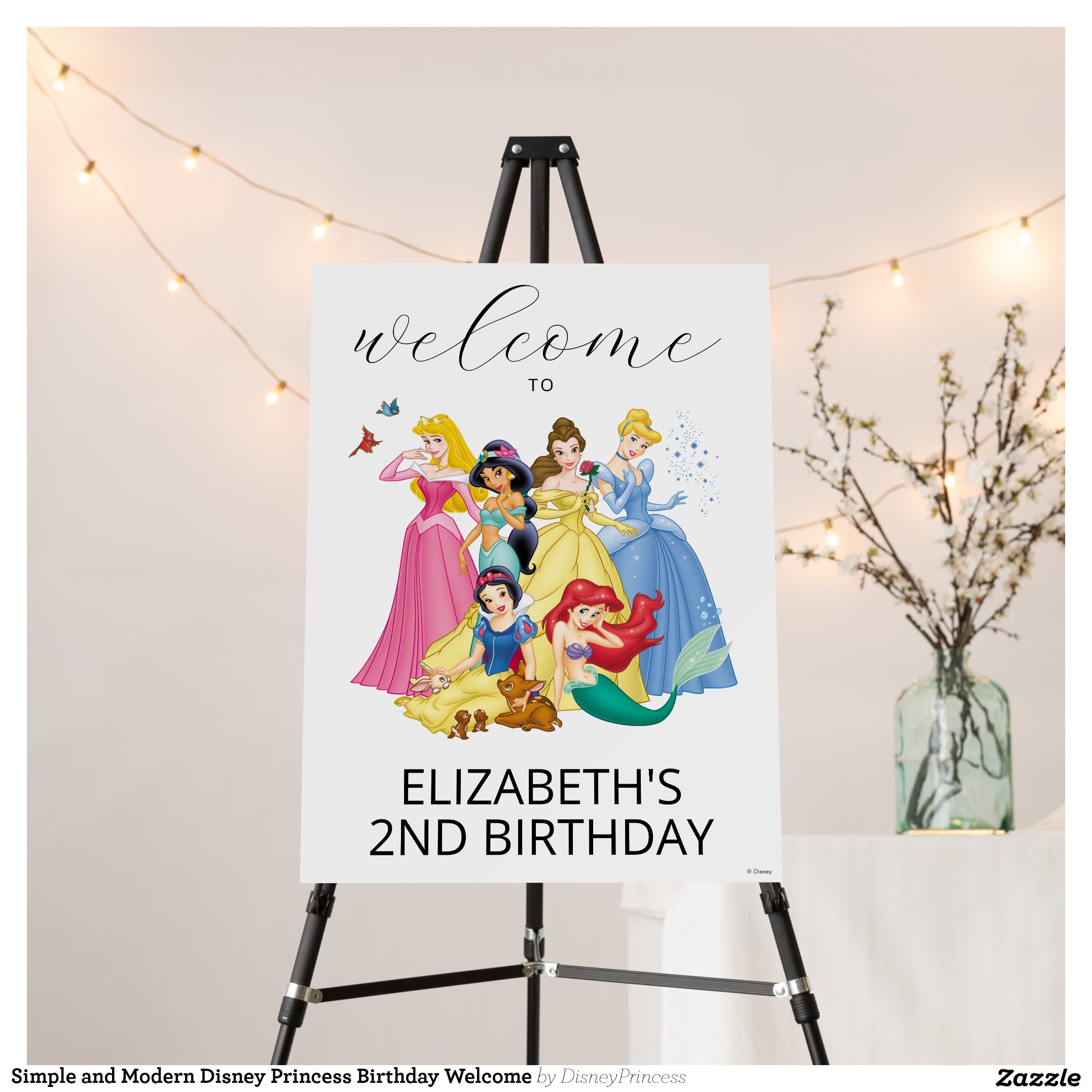 Simple and Modern Disney Princess Birthday Welcome Foam Board