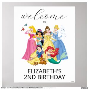 Simple and Modern Disney Princess Birthday Welcome Poster