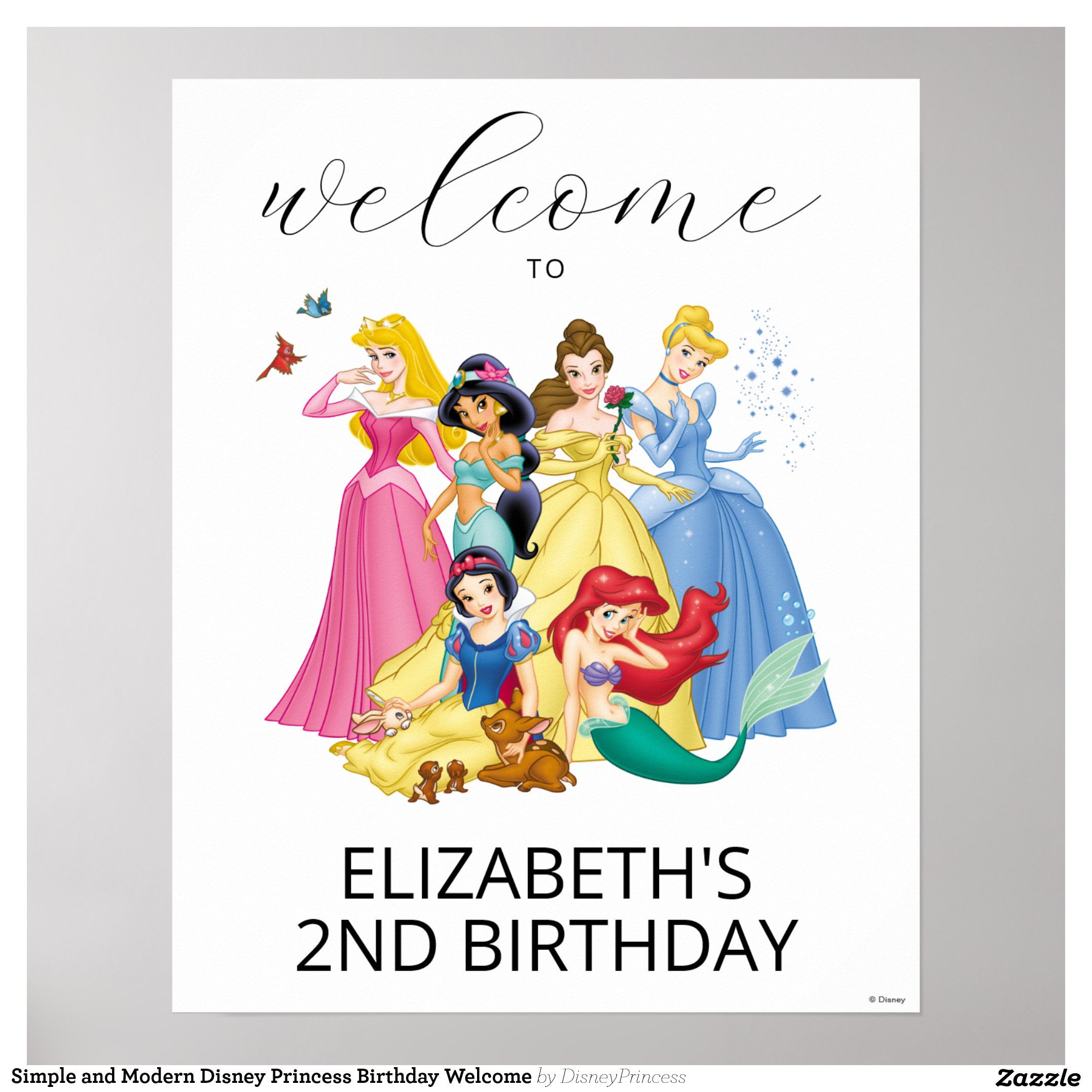 Simple and Modern Disney Princess Birthday Welcome Poster