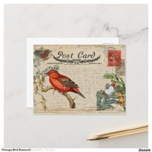 Vintage Bird Postcard