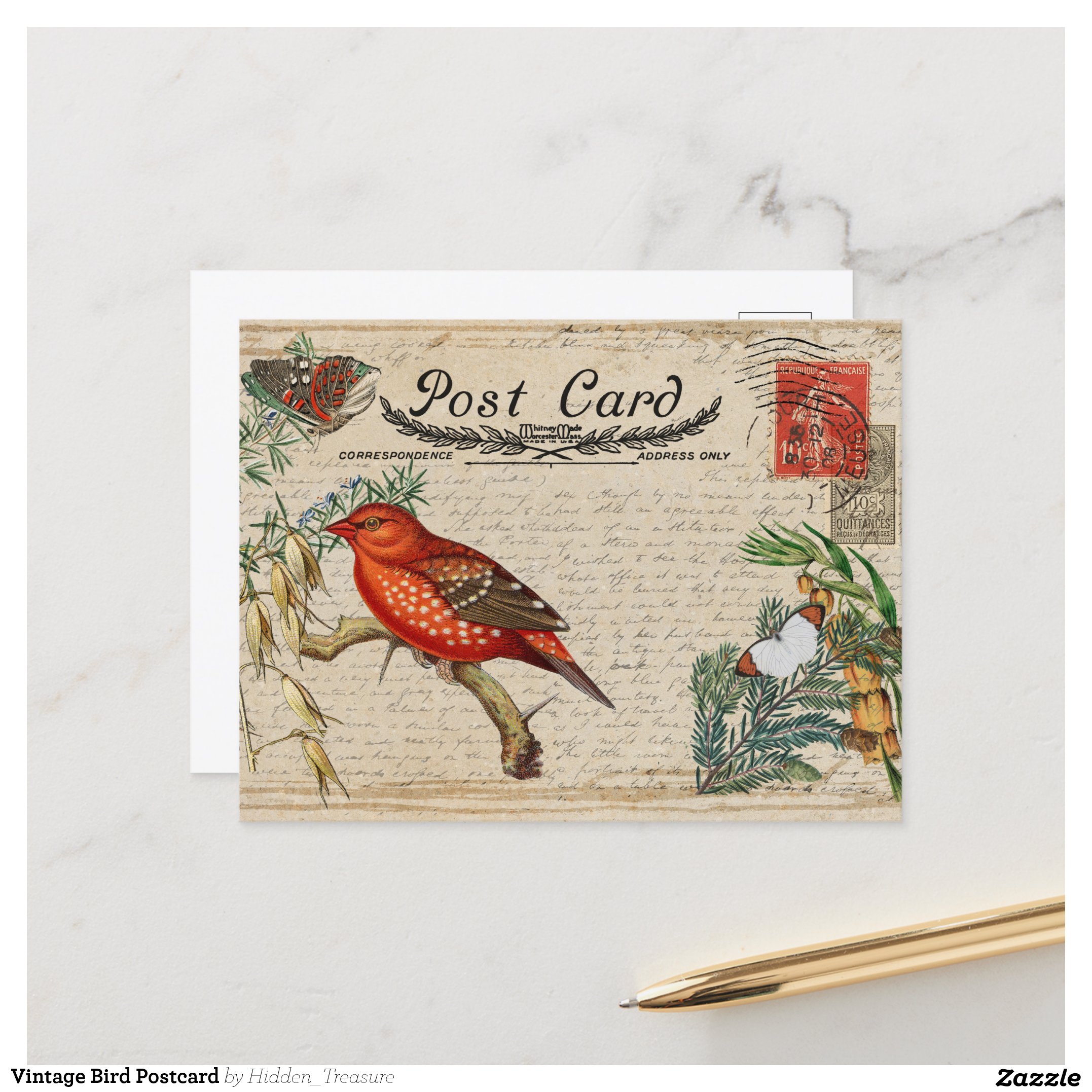 Vintage Bird Postcard